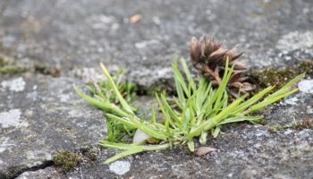IMG_7149